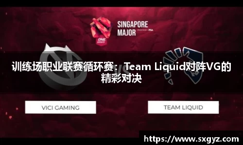 训练场职业联赛循环赛：Team Liquid对阵VG的精彩对决