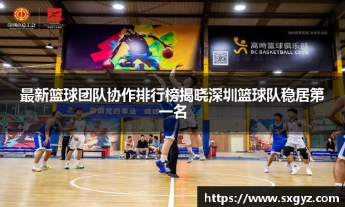 最新篮球团队协作排行榜揭晓深圳篮球队稳居第一名